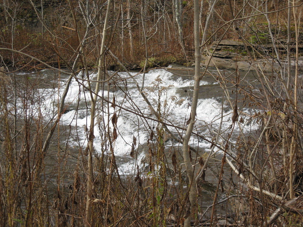 Wikimedia Commons