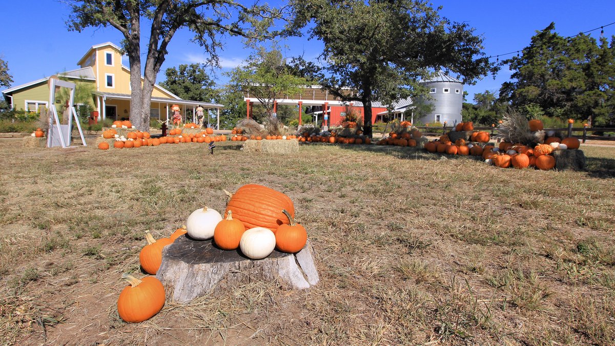 Mckinney Roughs Nature Park