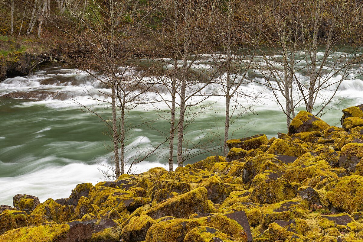 Carter Bridge Campground