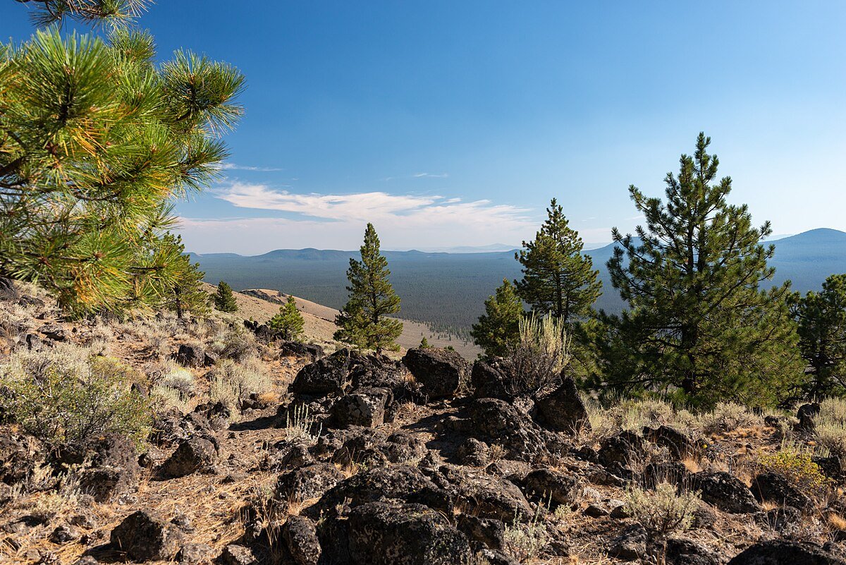 Pine Mountain Campground