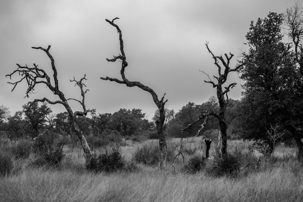 Guadalupe River State Park