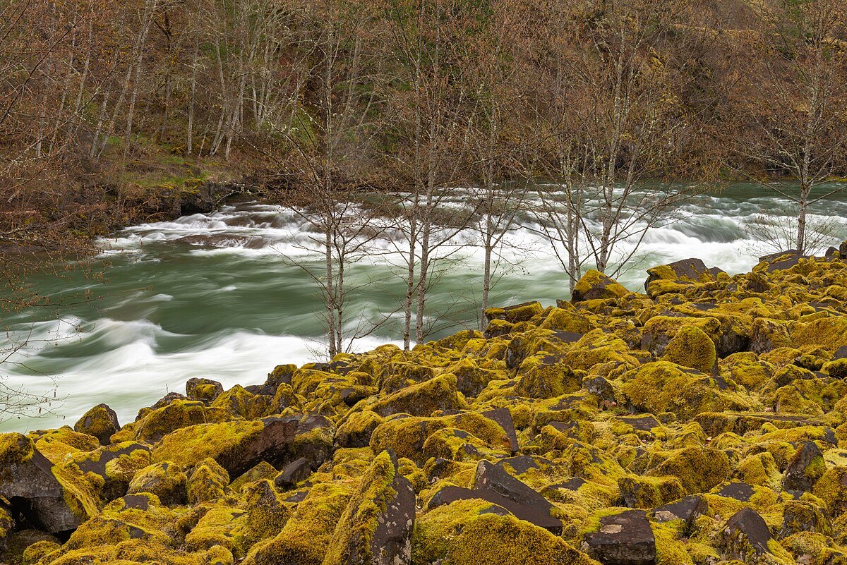 Carter Bridge Campground