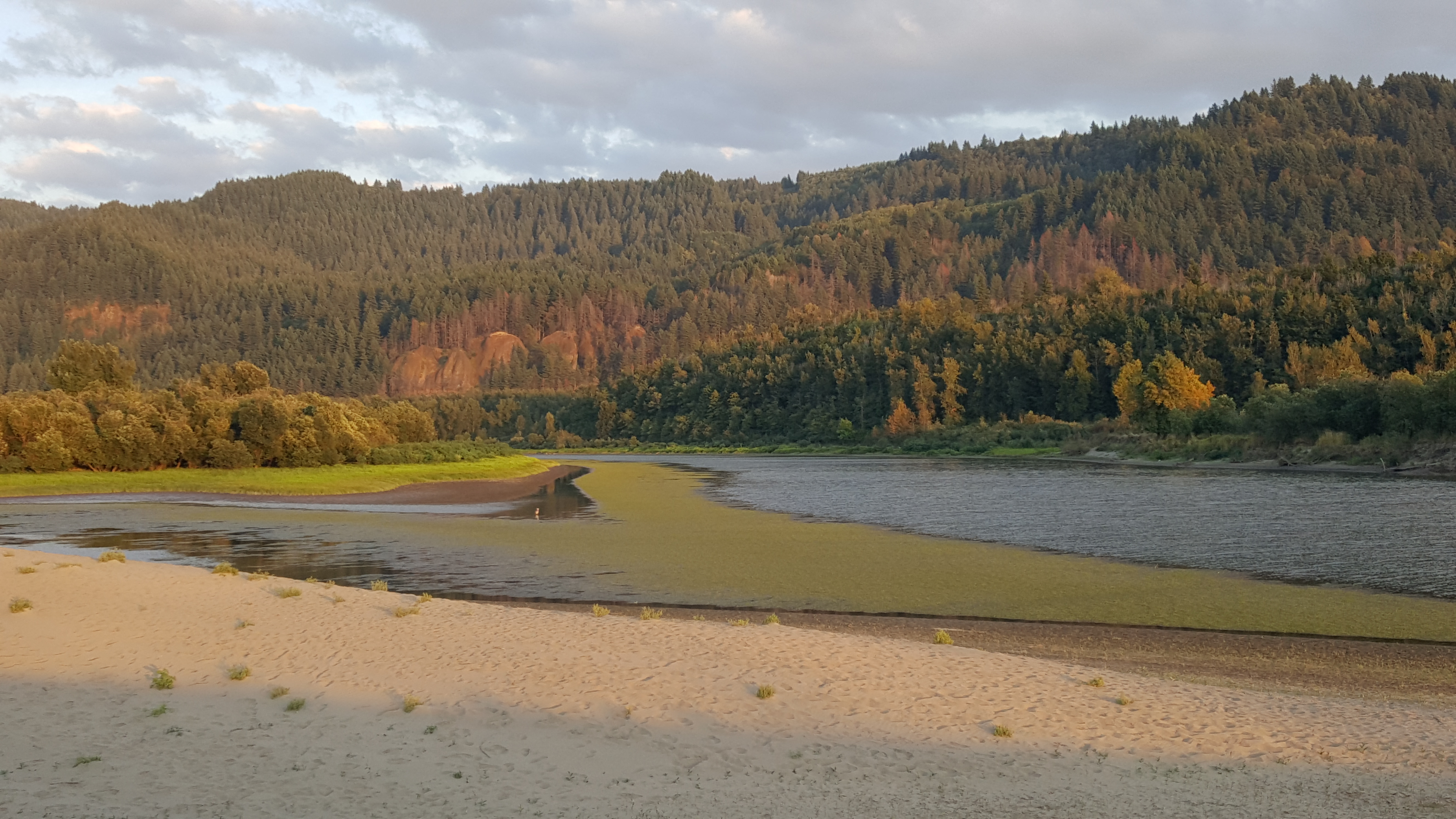 Rooster Rock State Park
