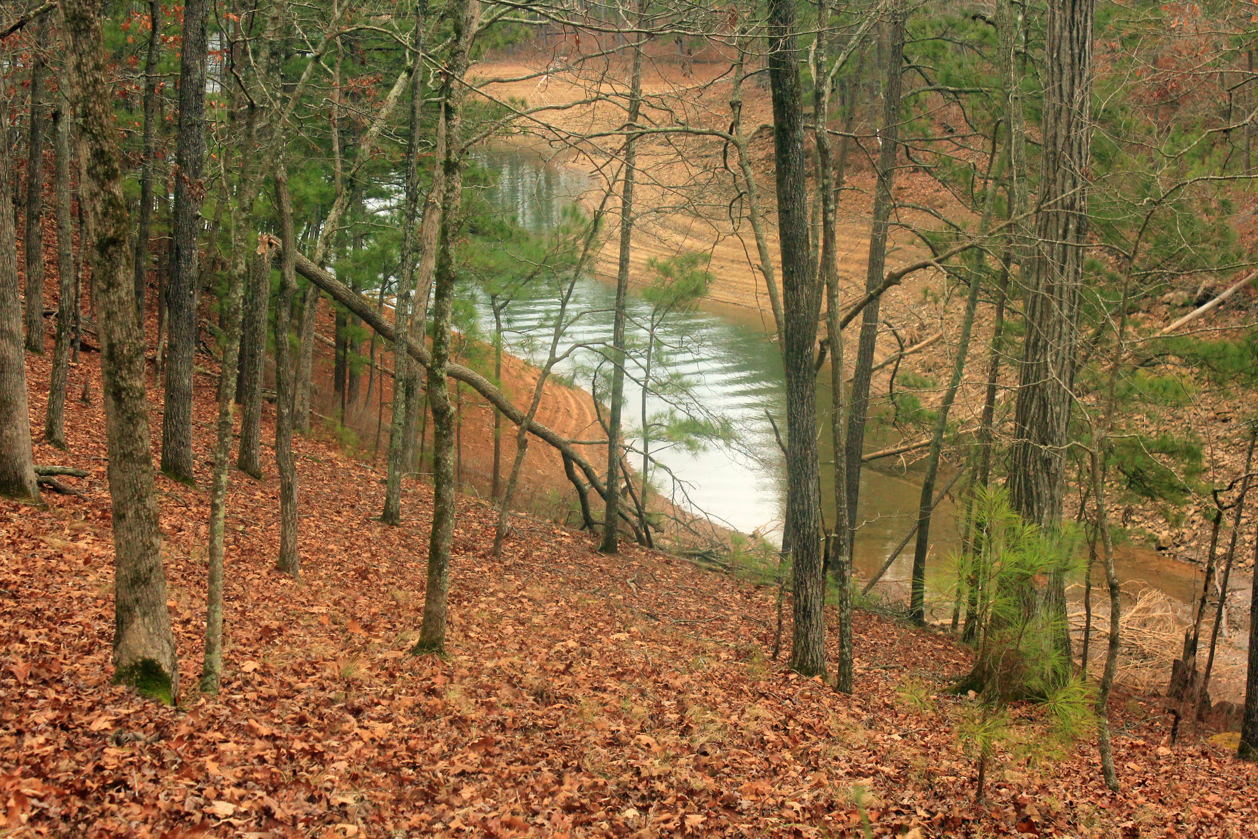 Wikimedia Commons