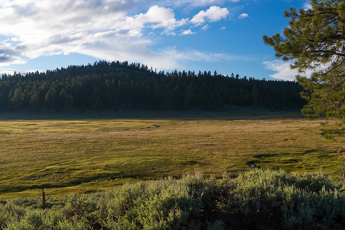 Mud Creek Campground
