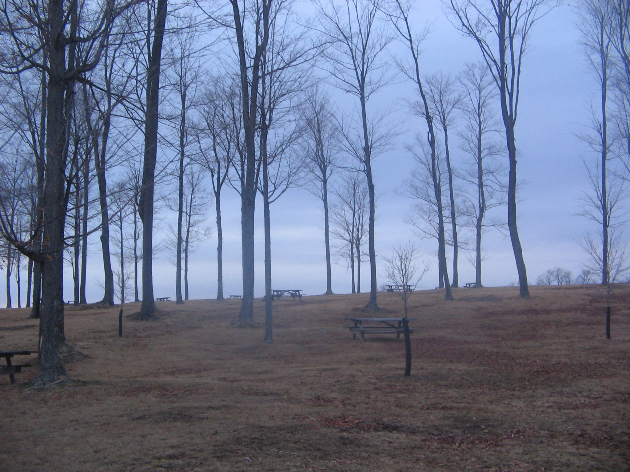 Cherry Springs State Park