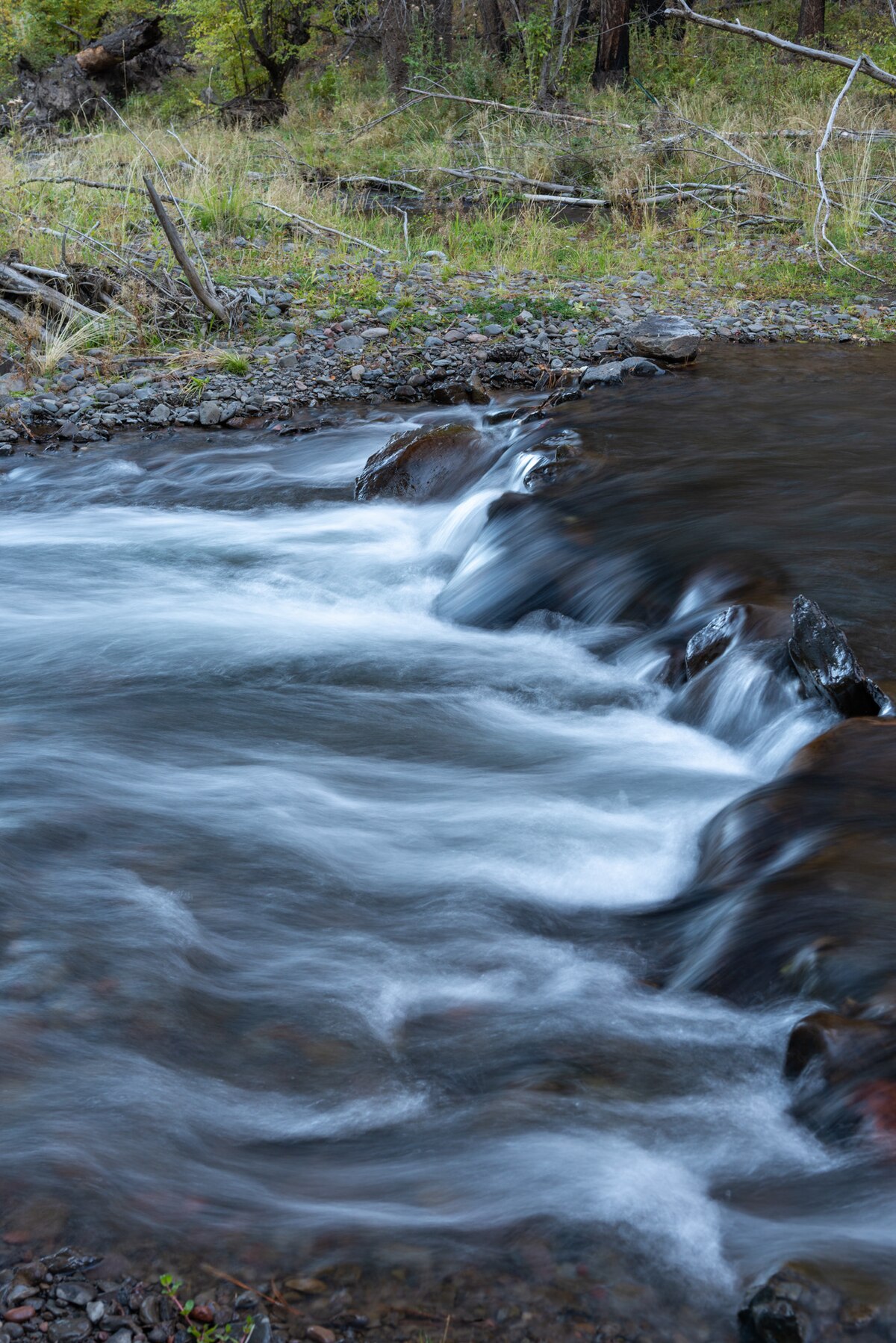 South Fork Campground