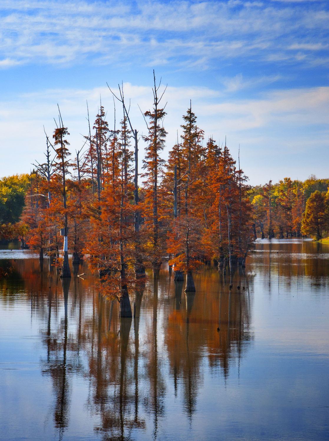 Reelfoot Lake State Park