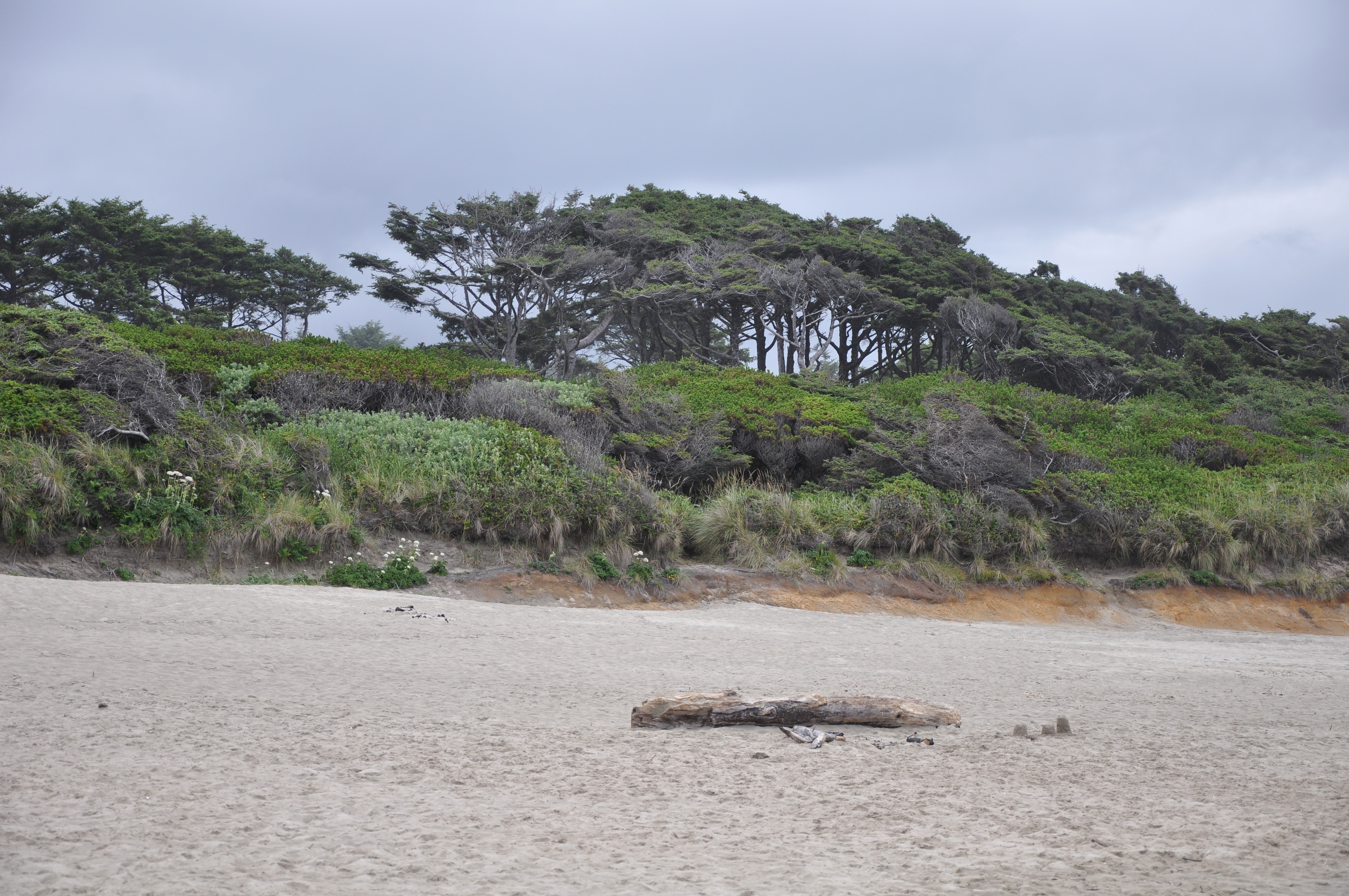 Beachside State Recreation Site