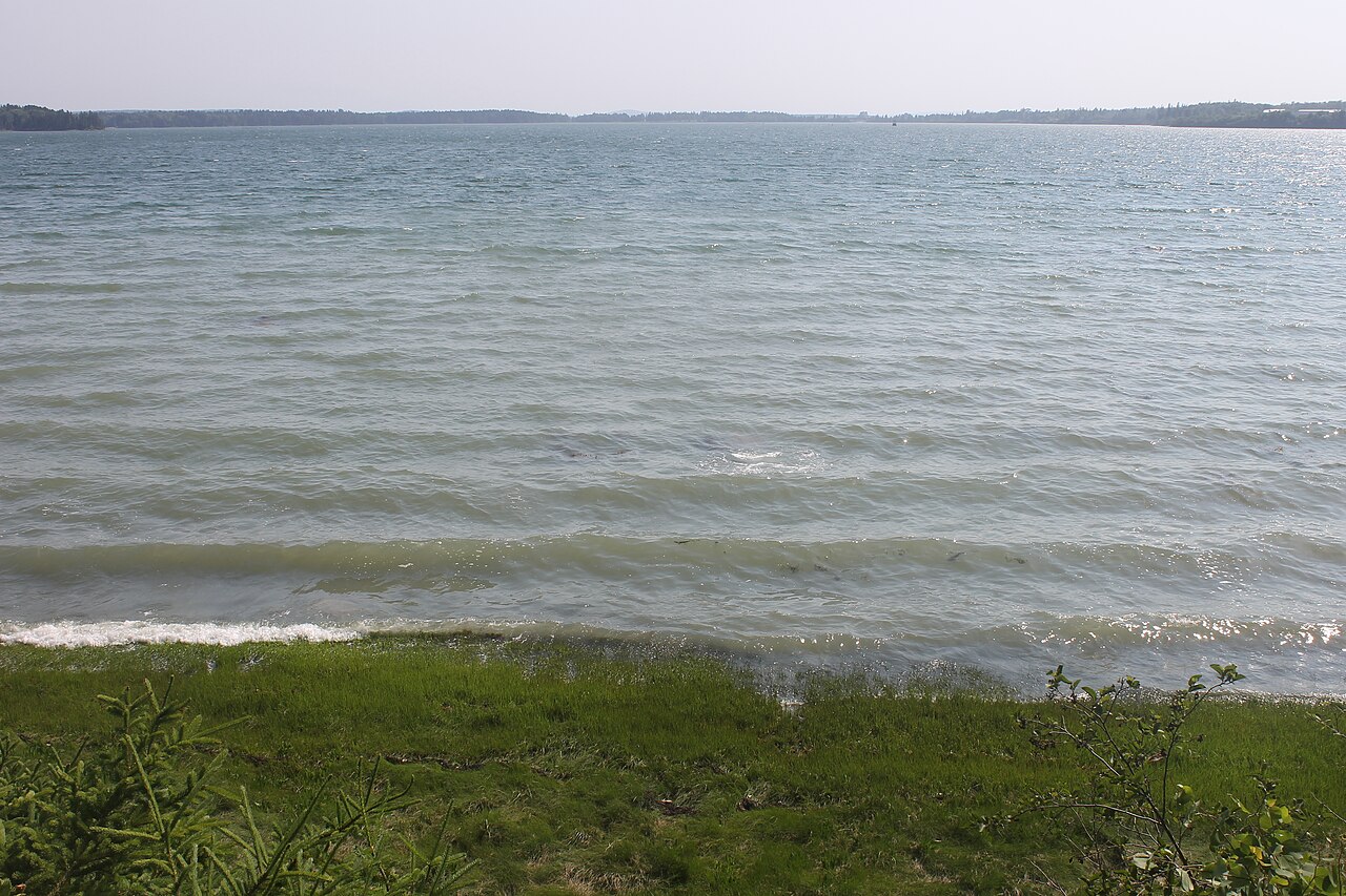Wikimedia Commons