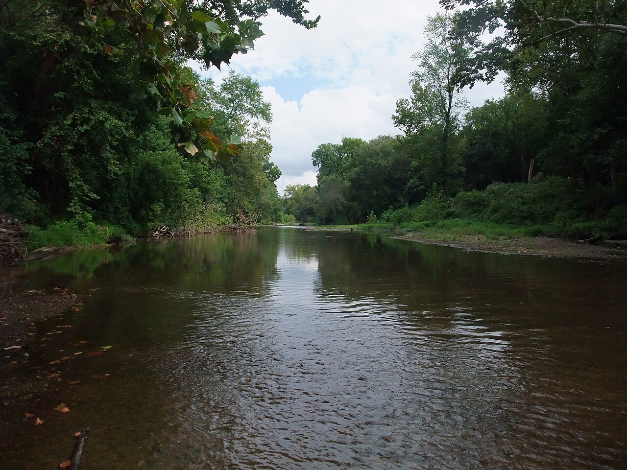Campground (Sites 64-110)