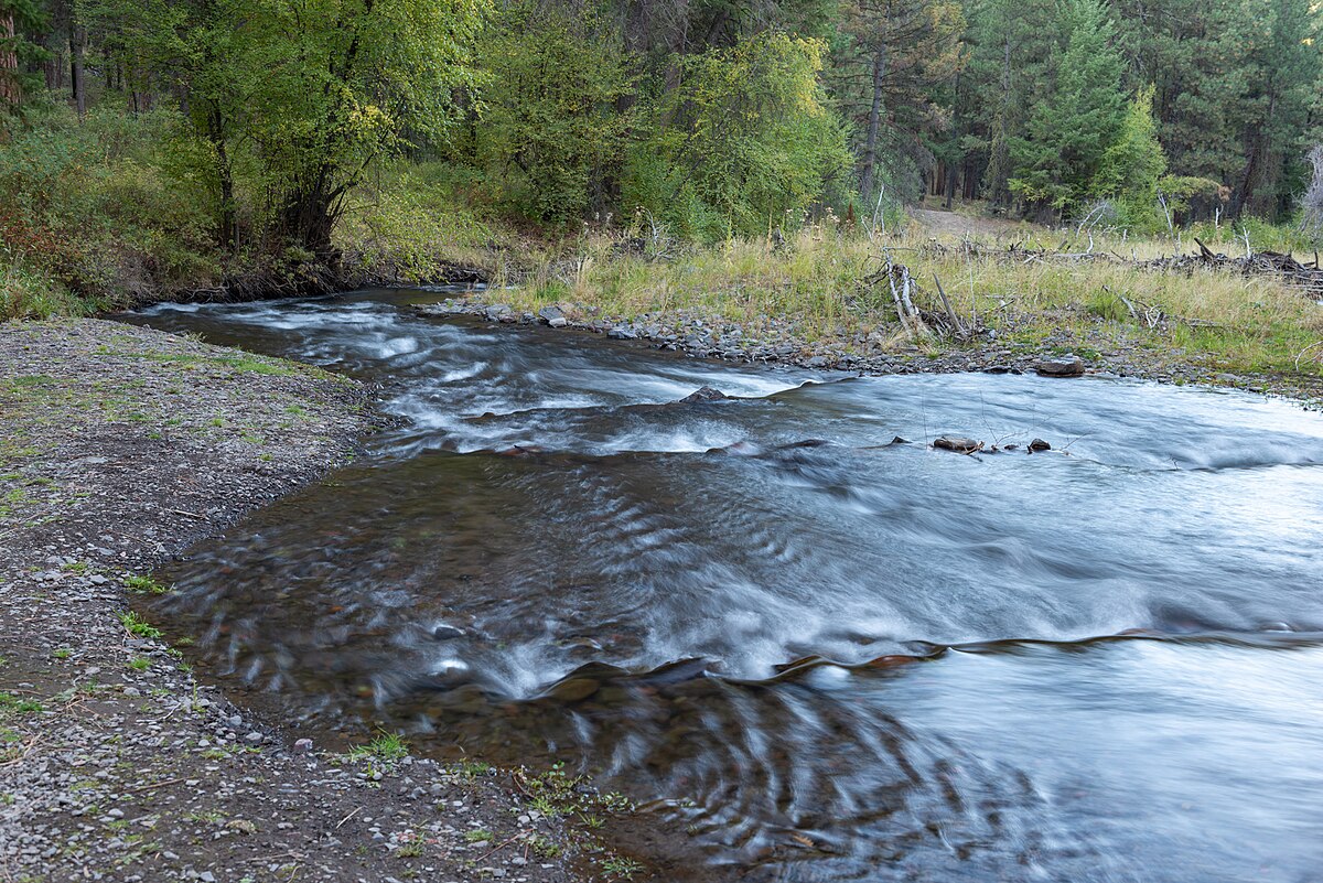 South Fork Campground