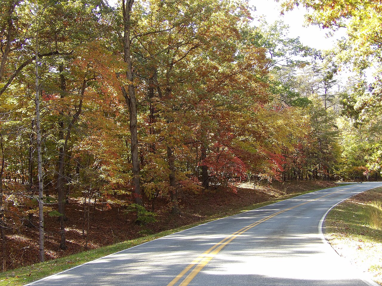 Smith Mountain Lake Campground