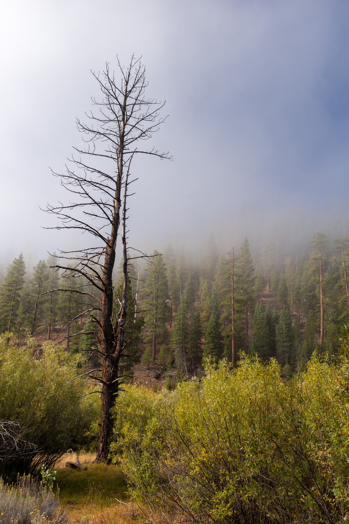 Dairy Point Campground