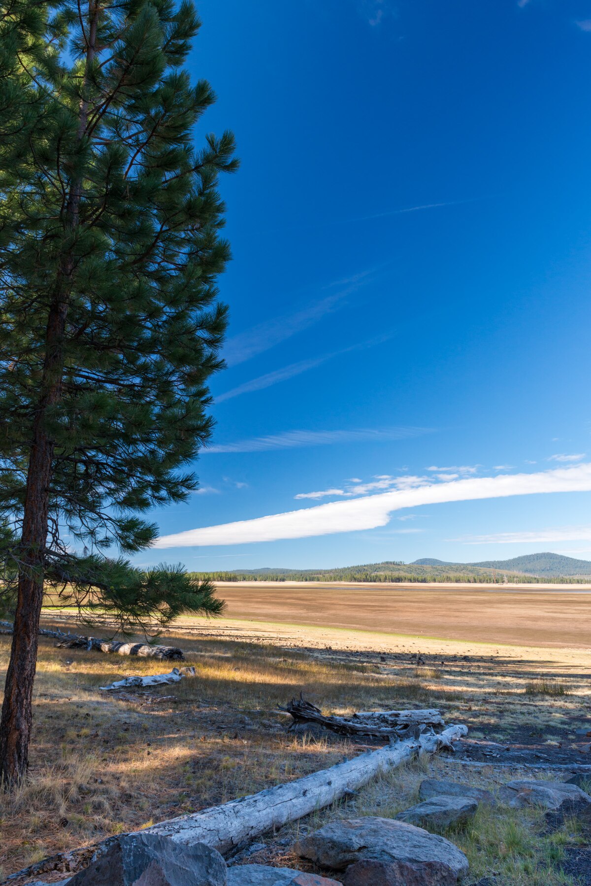 Thompson Reservoir Campground