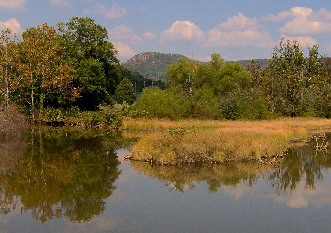 Cove Lake State Park