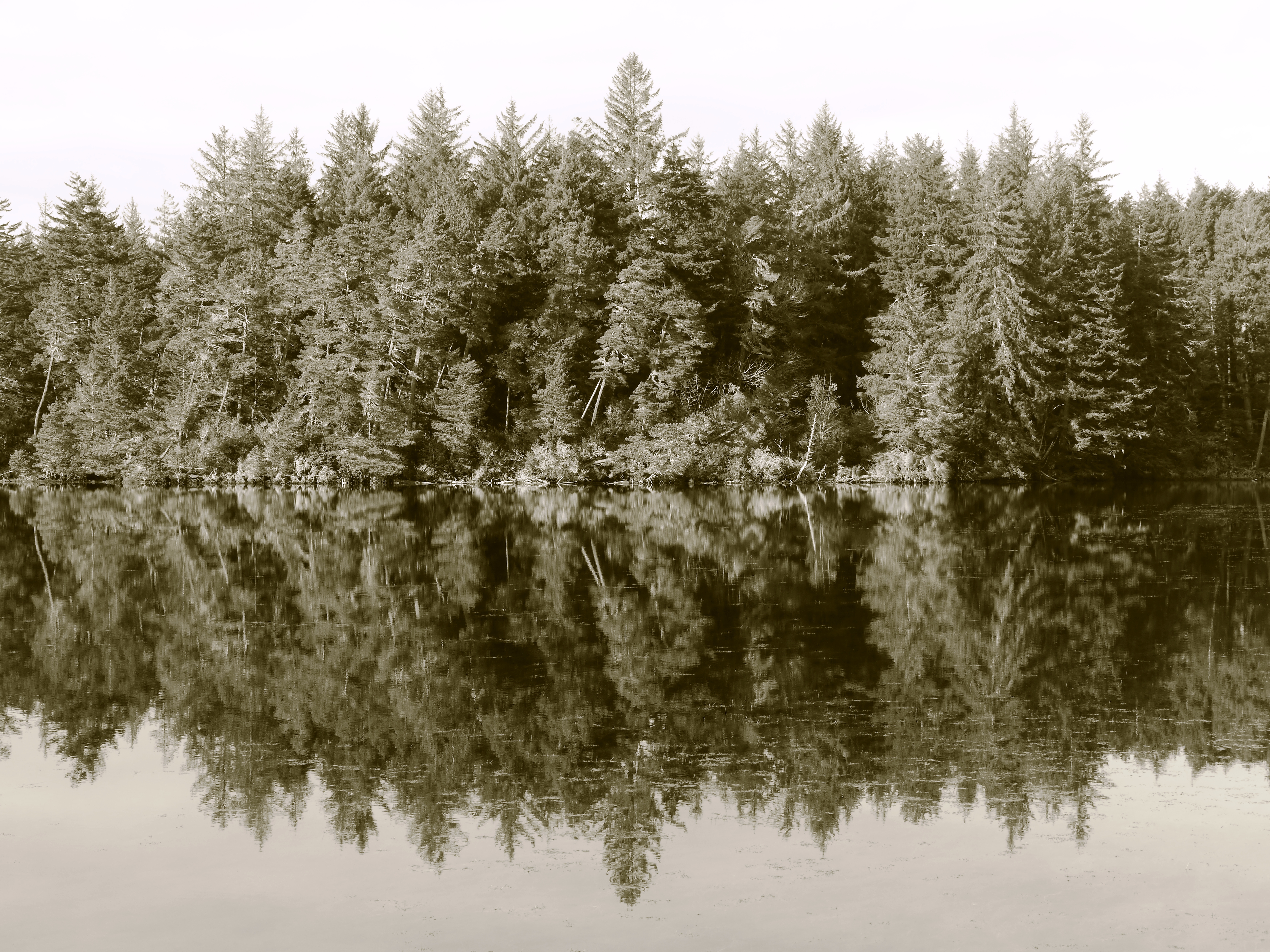 Jessie M. Honeyman Memorial State Park