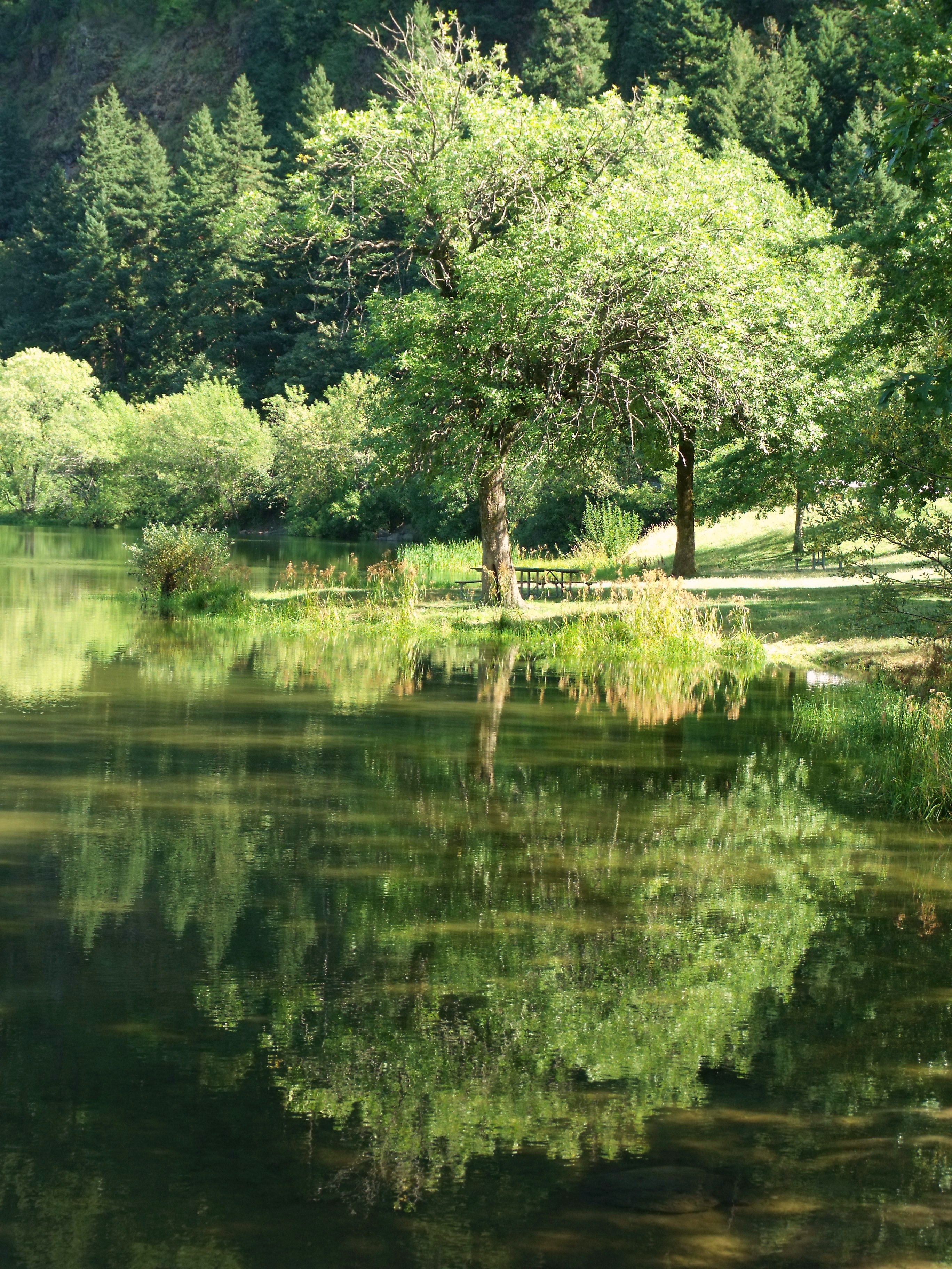 Benson State Recreation Area