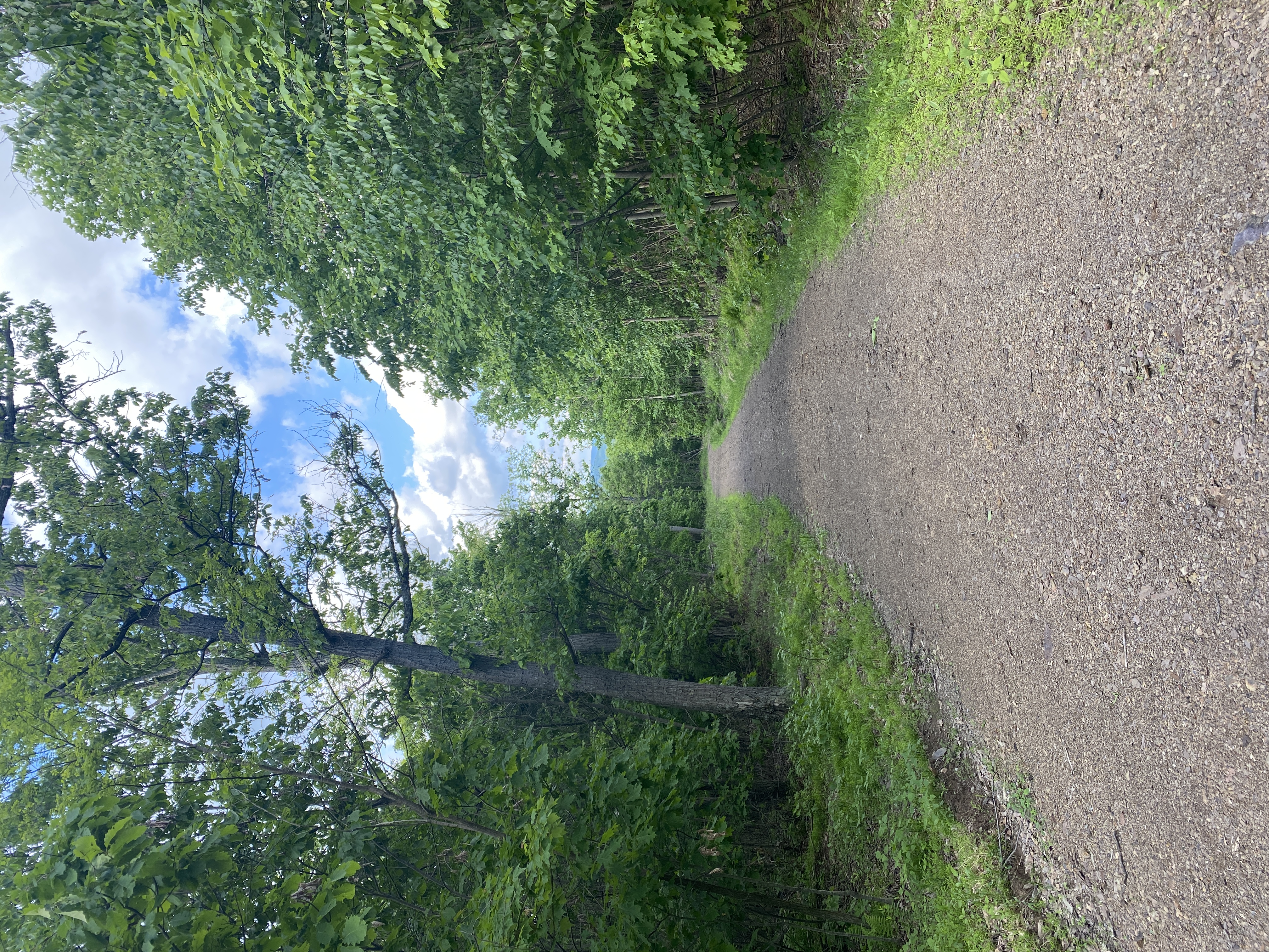Fowlers Hollow State Park