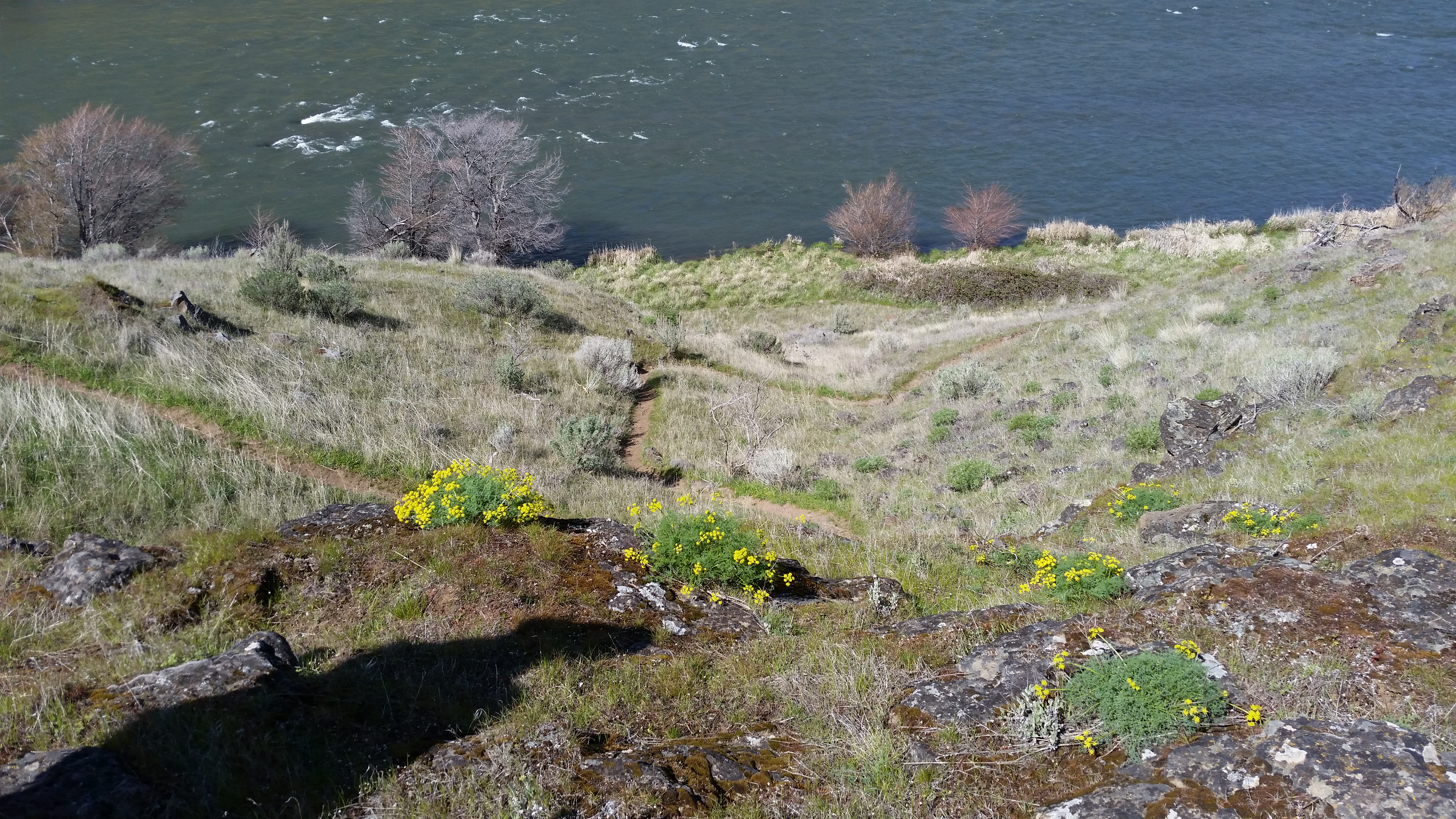 Deschutes River State Recreation Area