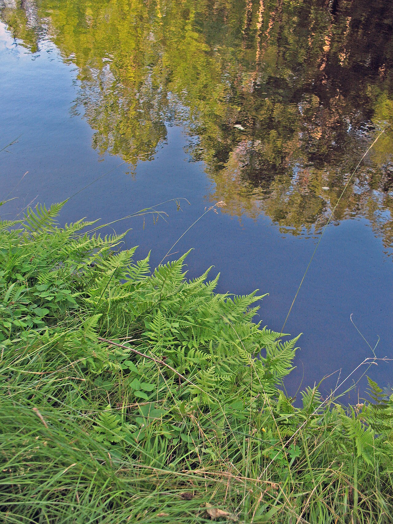 Brunet Island State Park