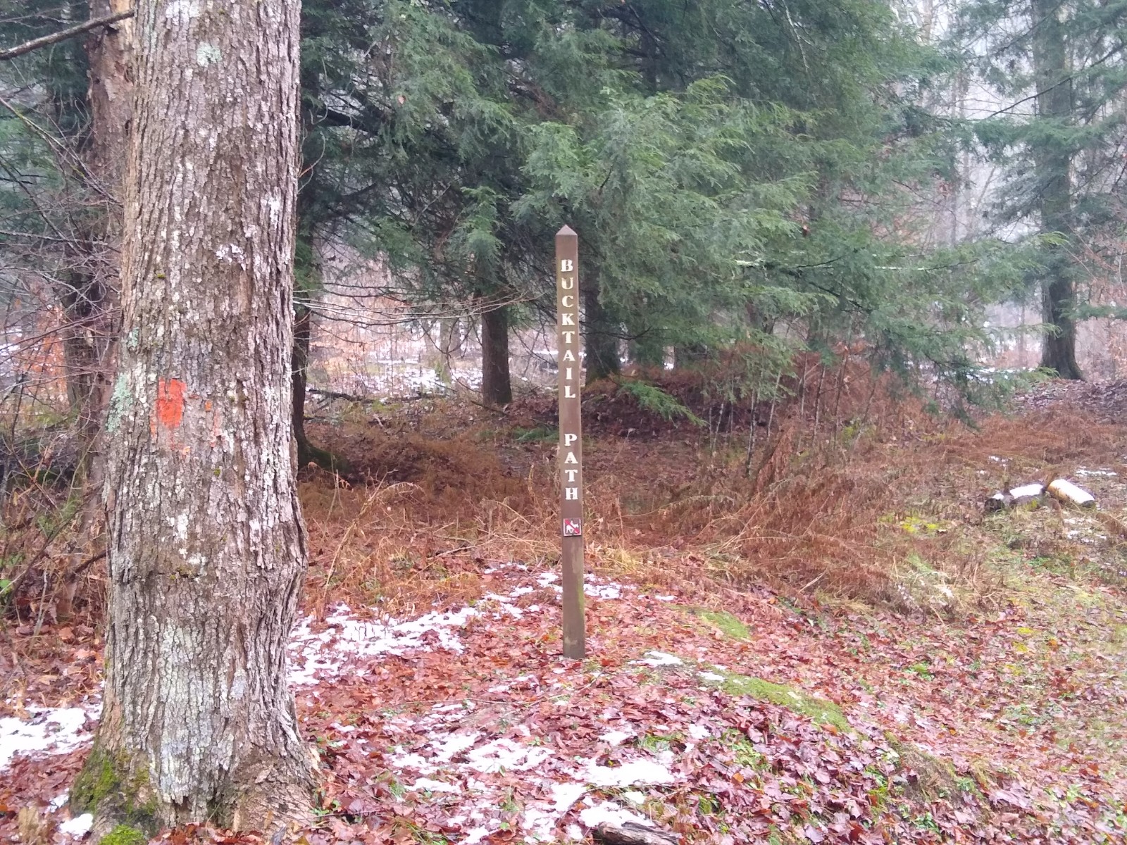 Sizerville State Park