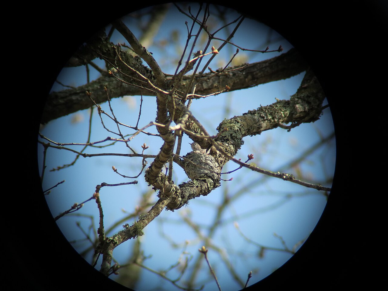 Creekside Campground