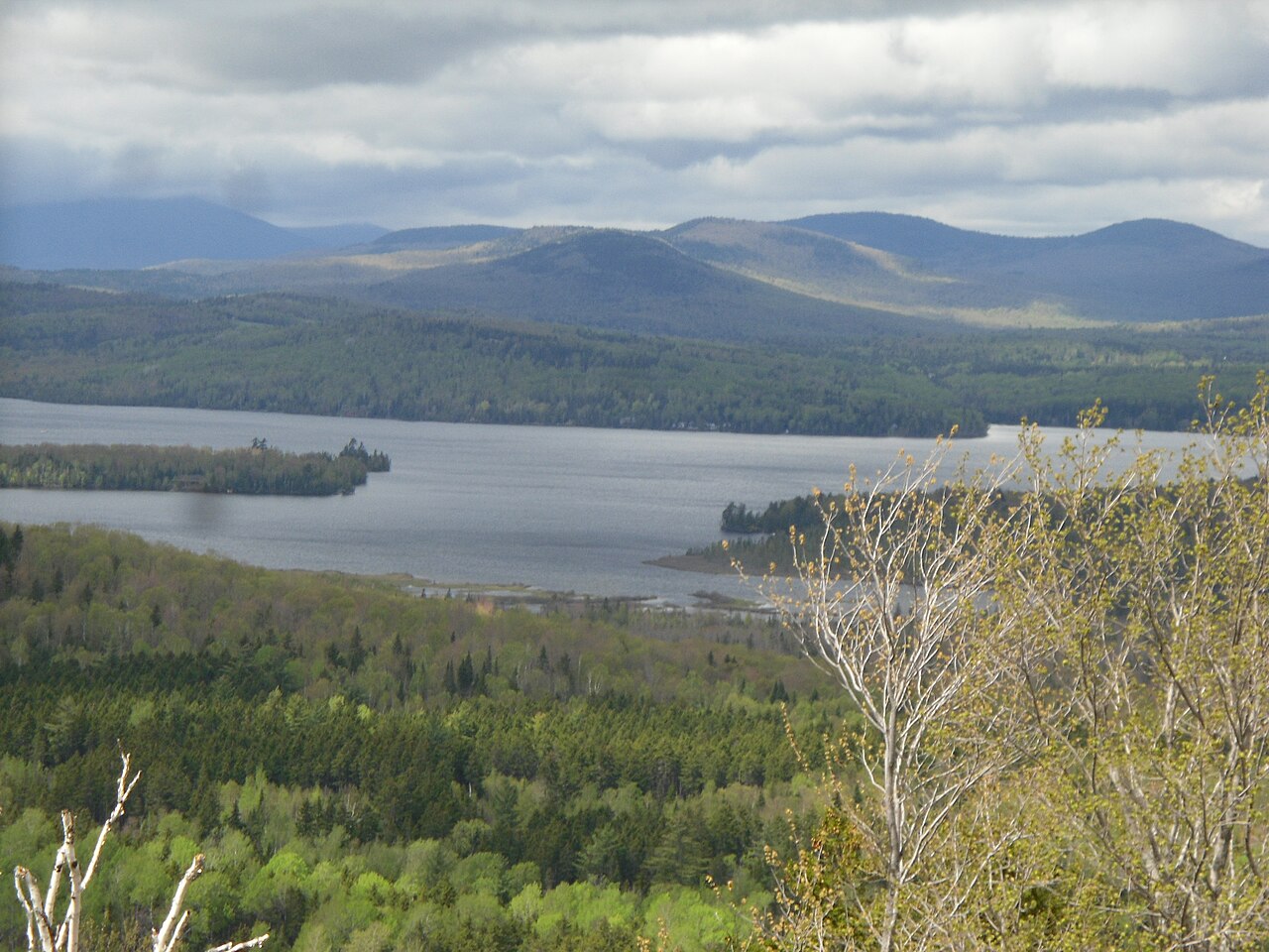 Wikimedia Commons