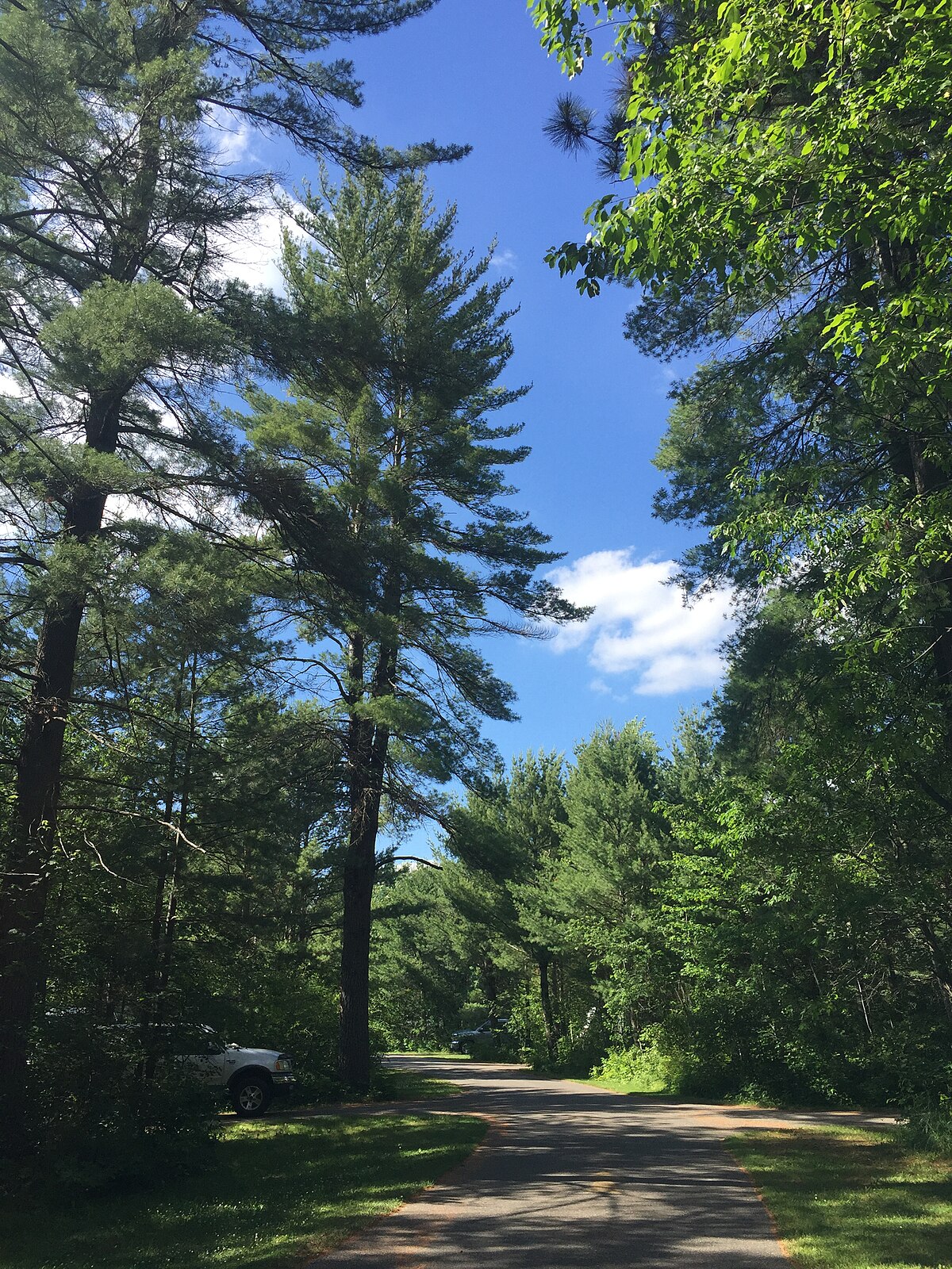 Hartwick Pines Group Camp