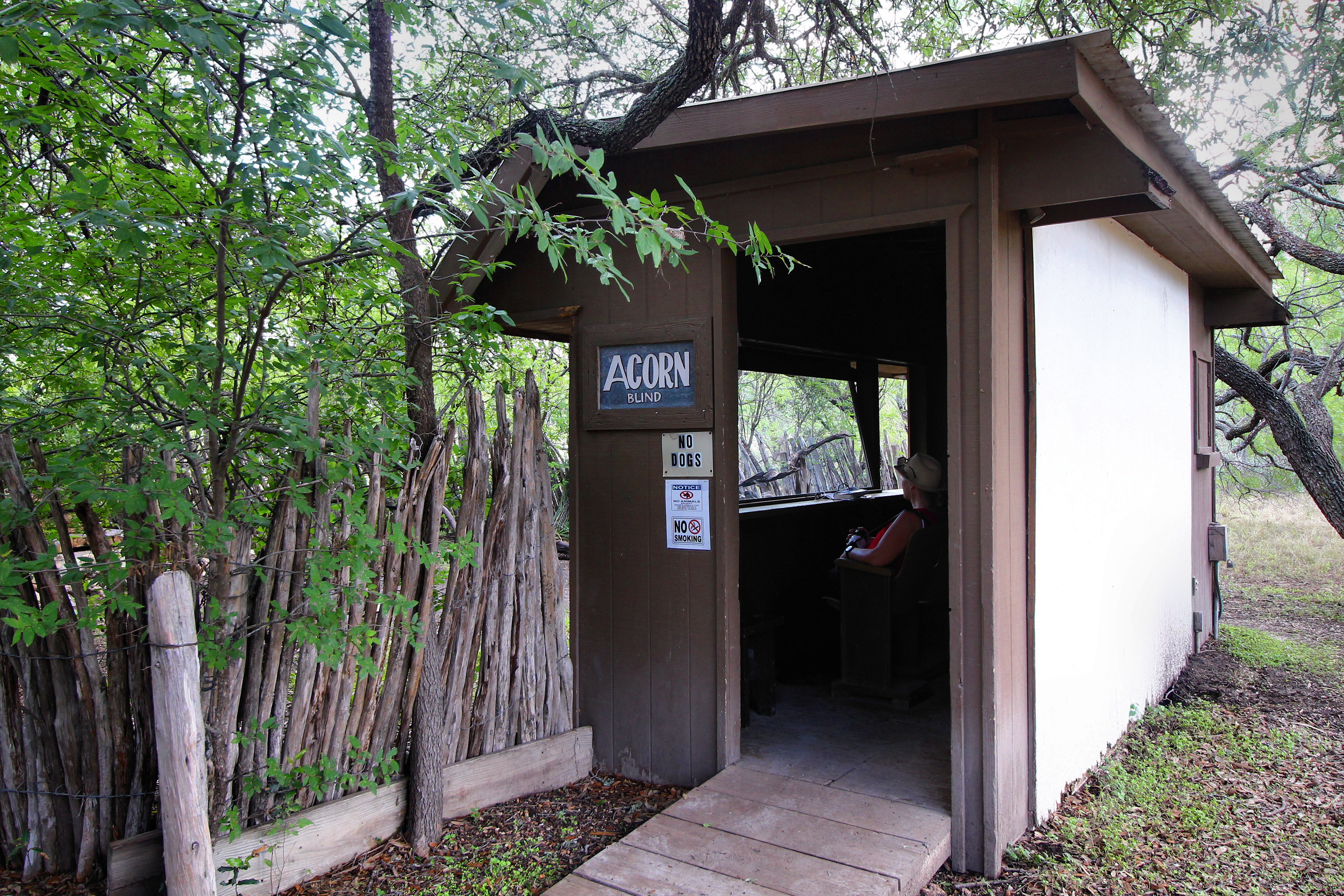South Llano River State Park