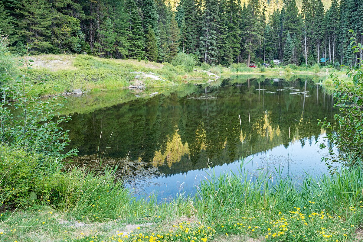 Trout Farm Campground