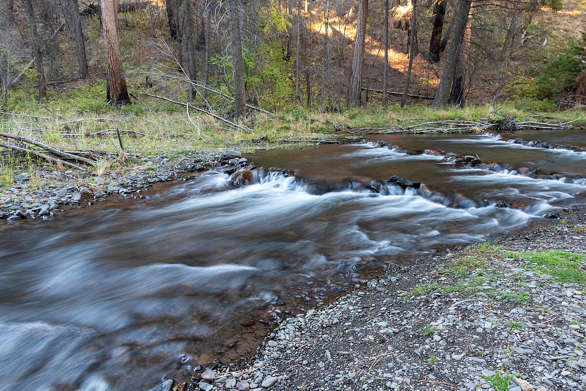 South Fork Campground