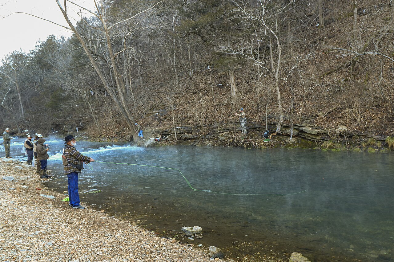 Campground 1 (Sites 1-6 And 42-77)