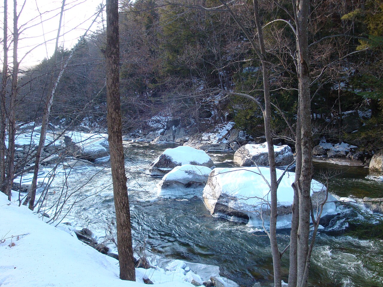 Jamaica State Park