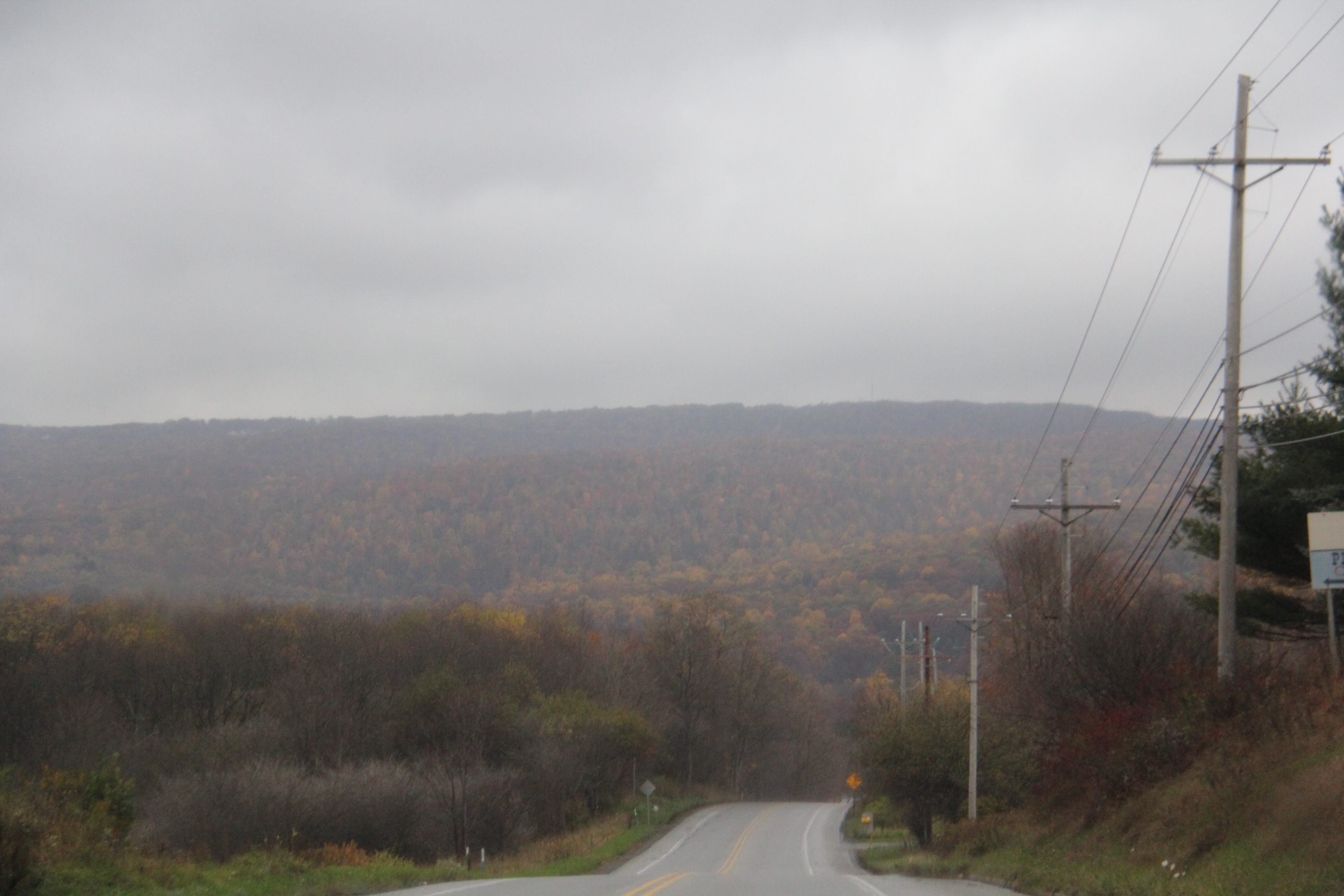 Laurel Hill State Park