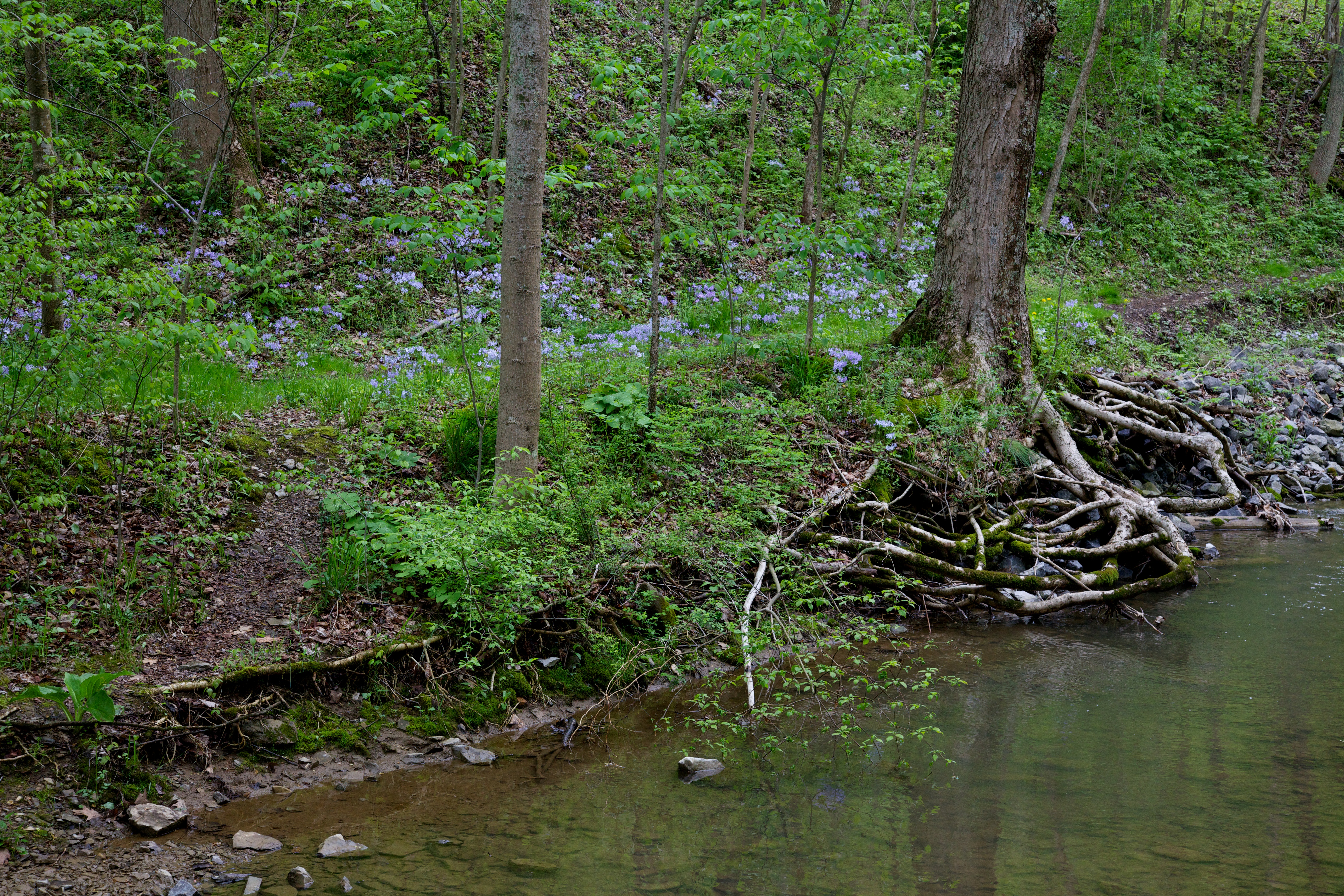 Canoe Creek State Park