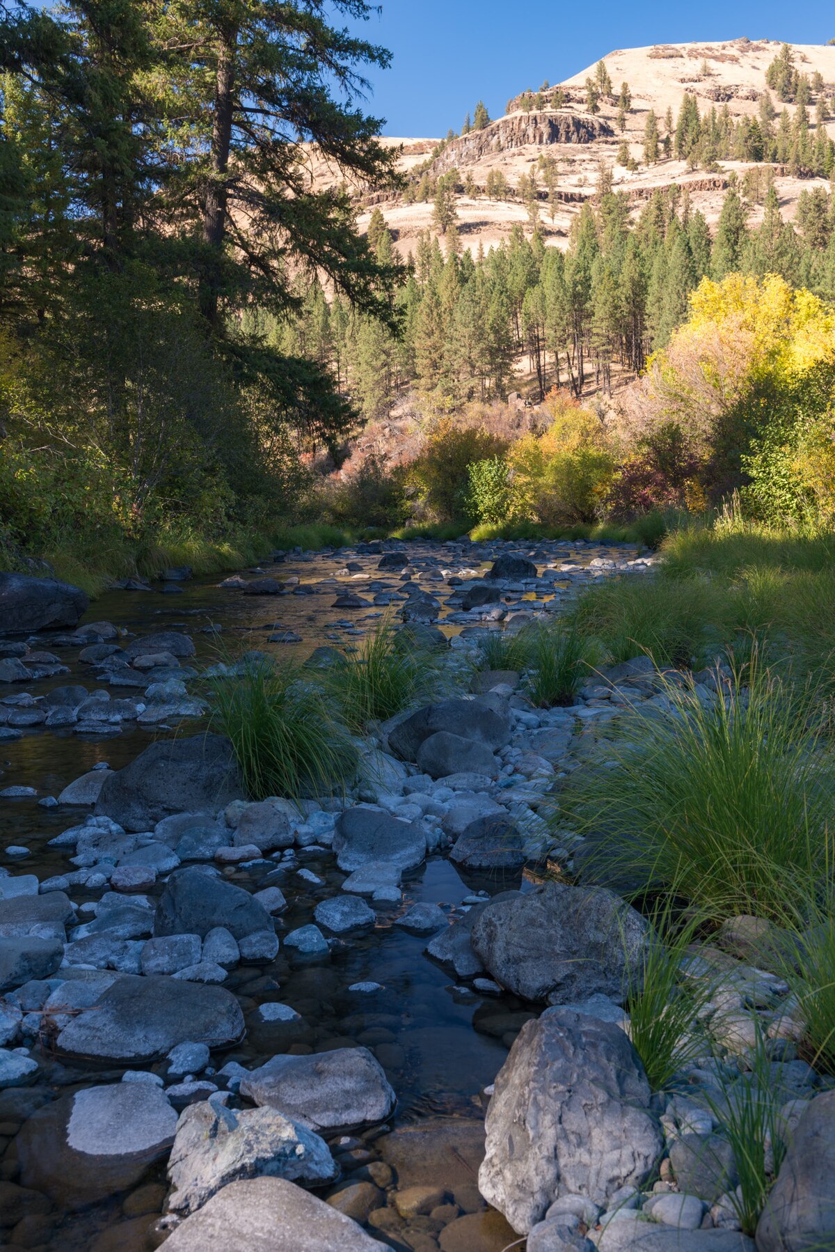 Tollbridge Campground