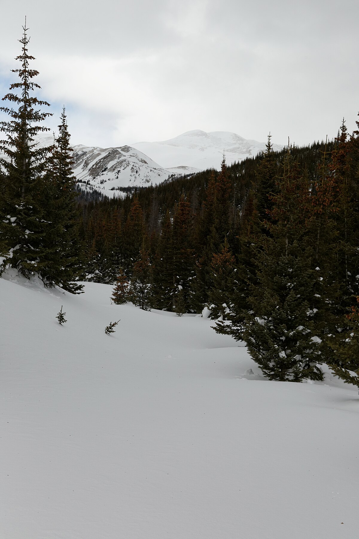 Sawmill Creek Campground