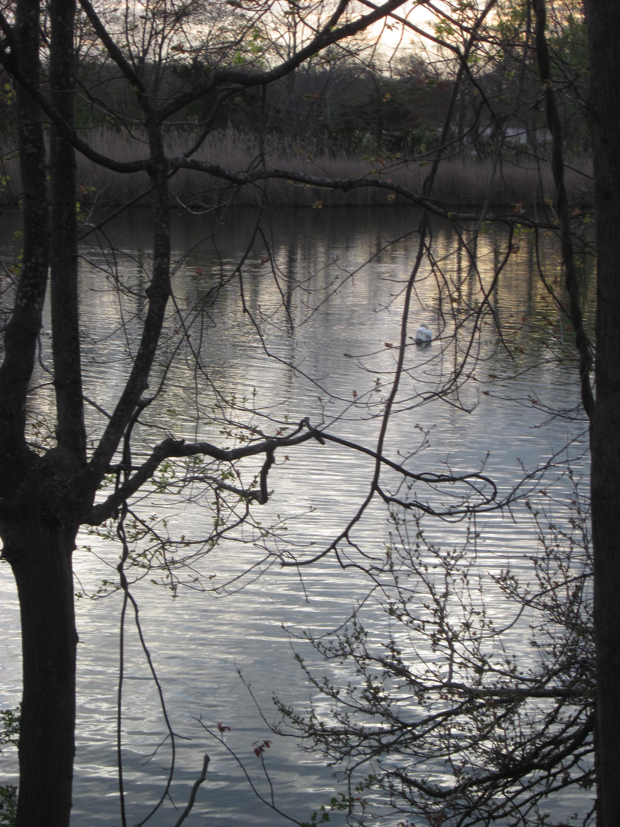 Sunken Meadow State Park