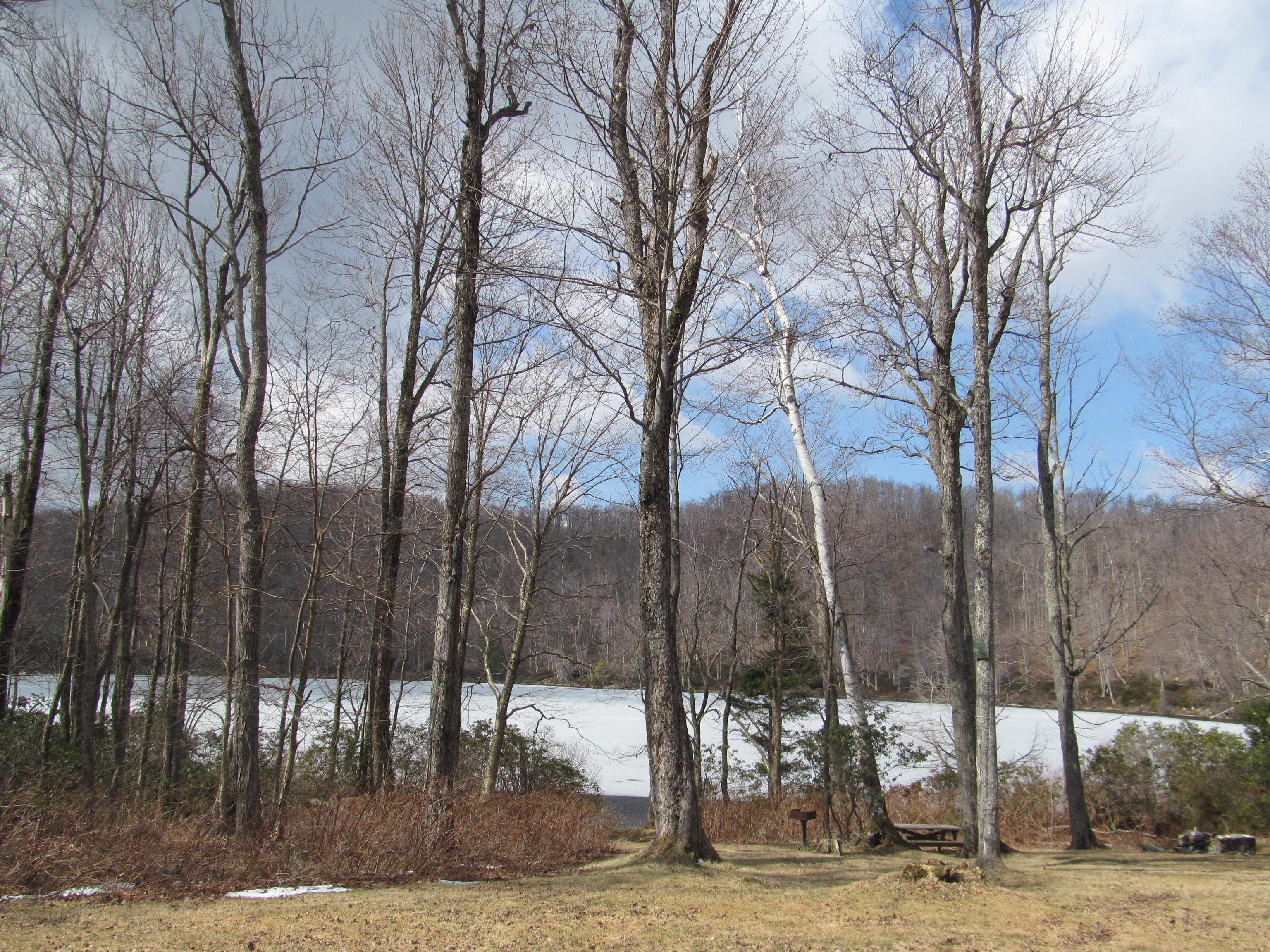 Savoy Mountain State Forest