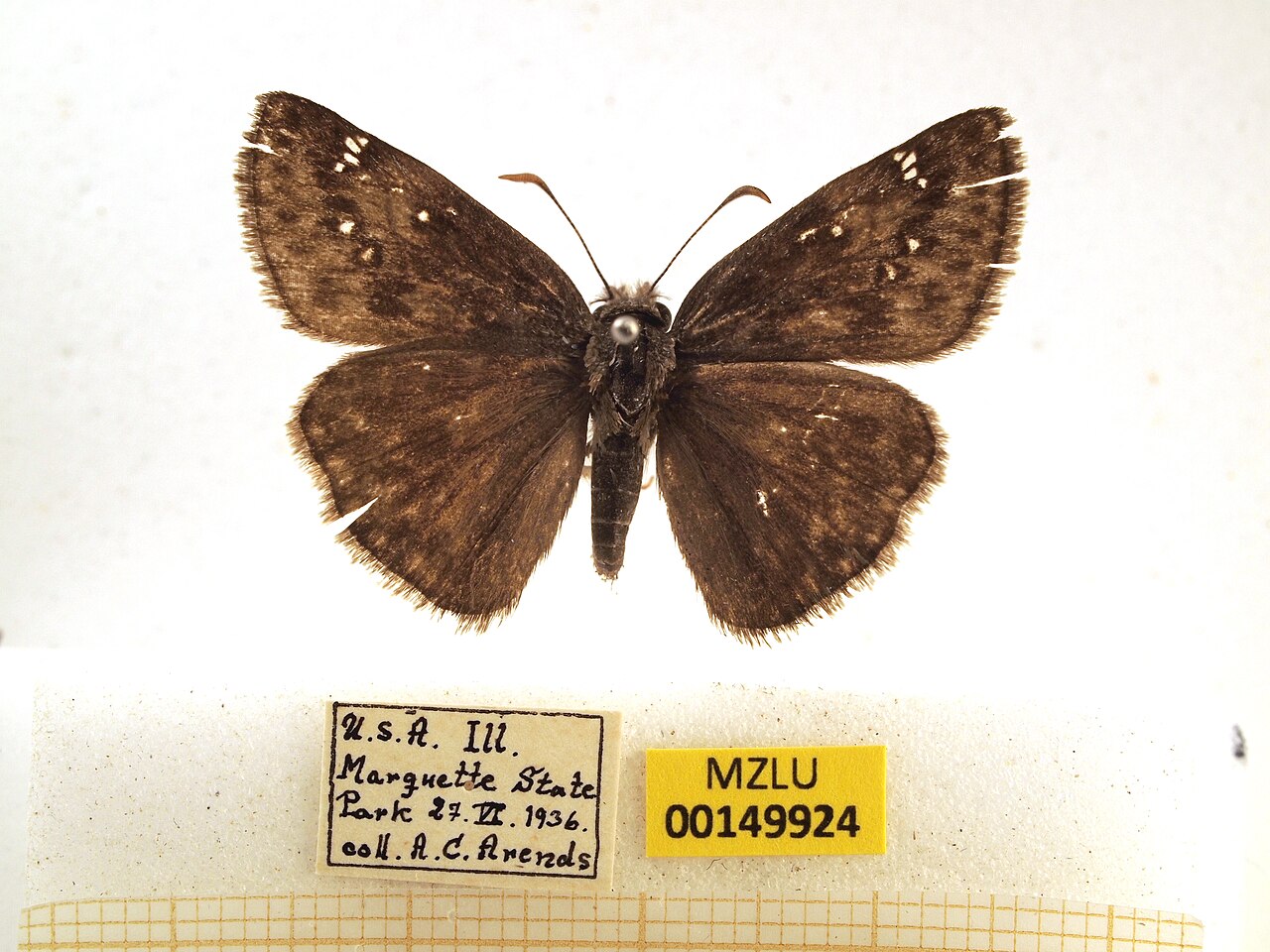 Wikimedia Commons