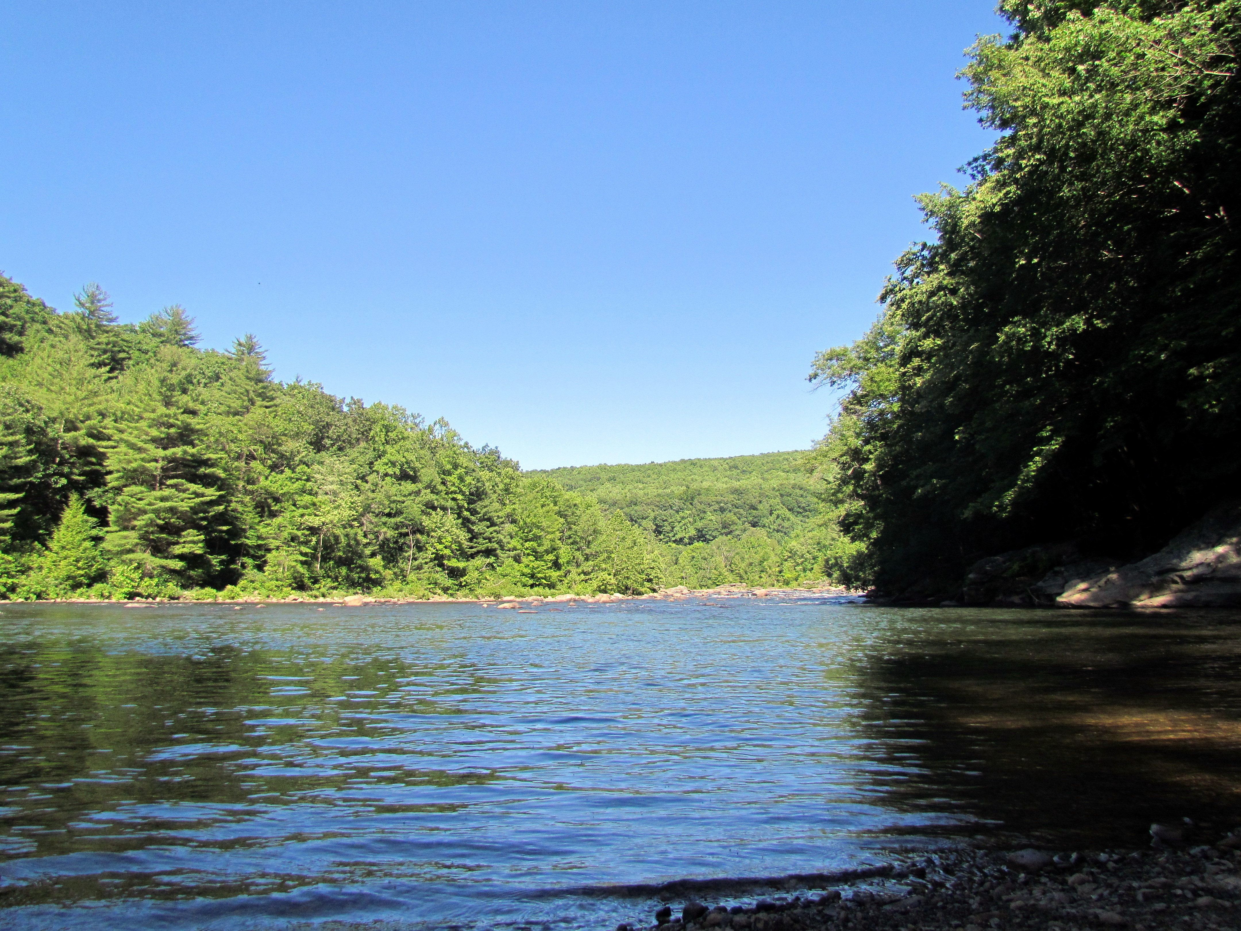 Ohiopyle State Park