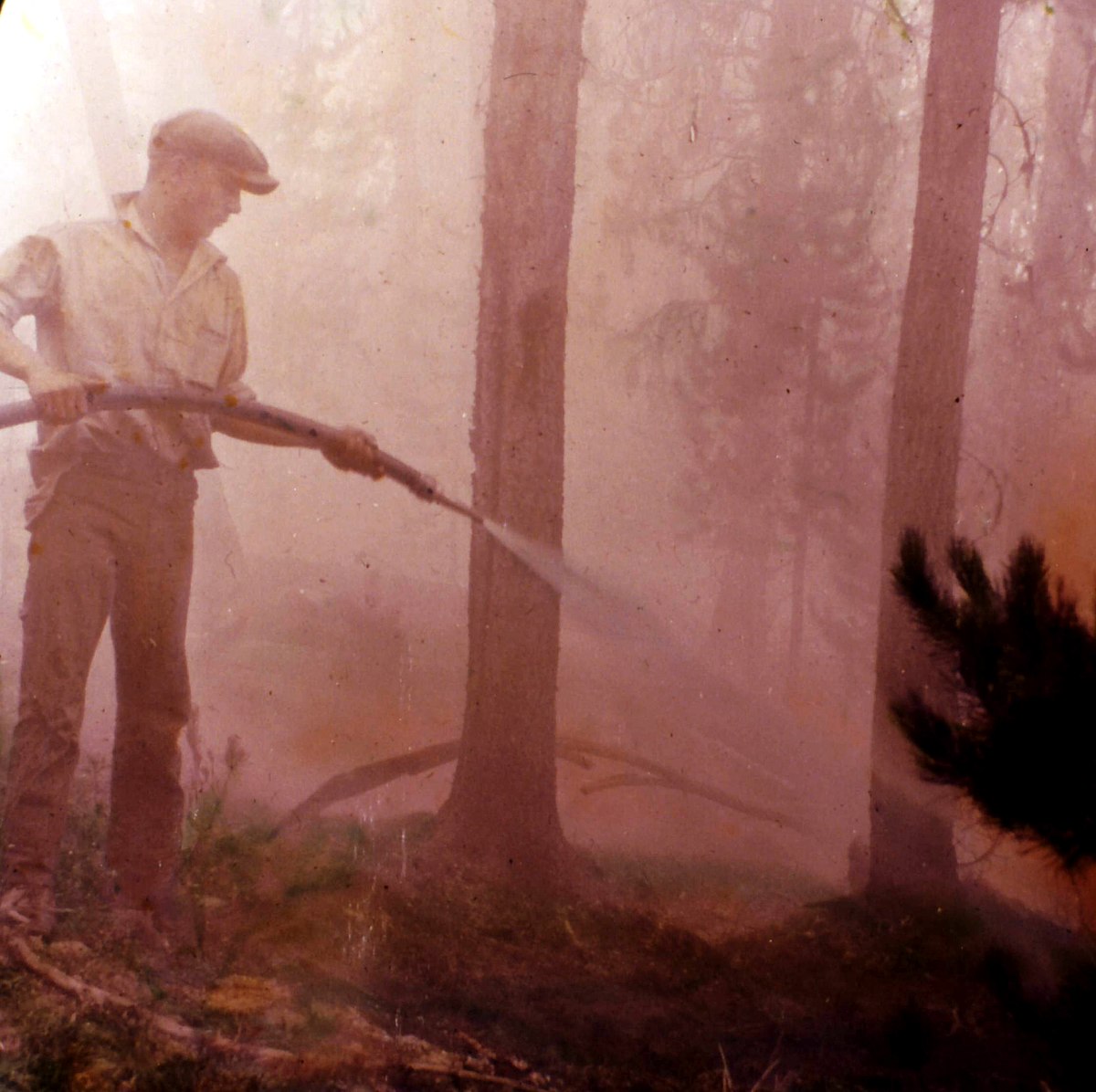 Lake Ellen East Campground