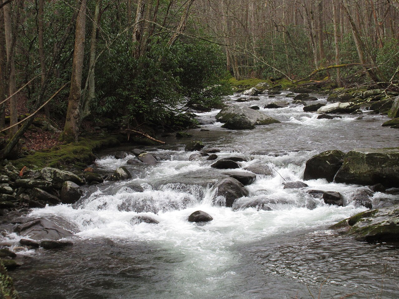 Wikimedia Commons