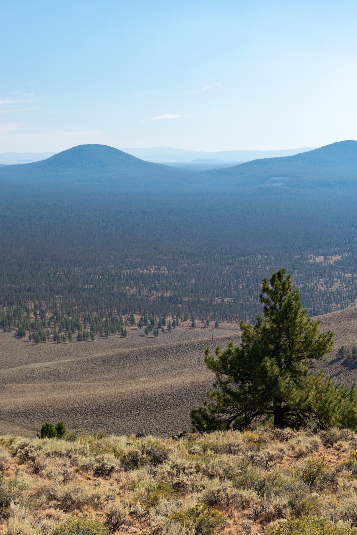 Pine Mountain Campground