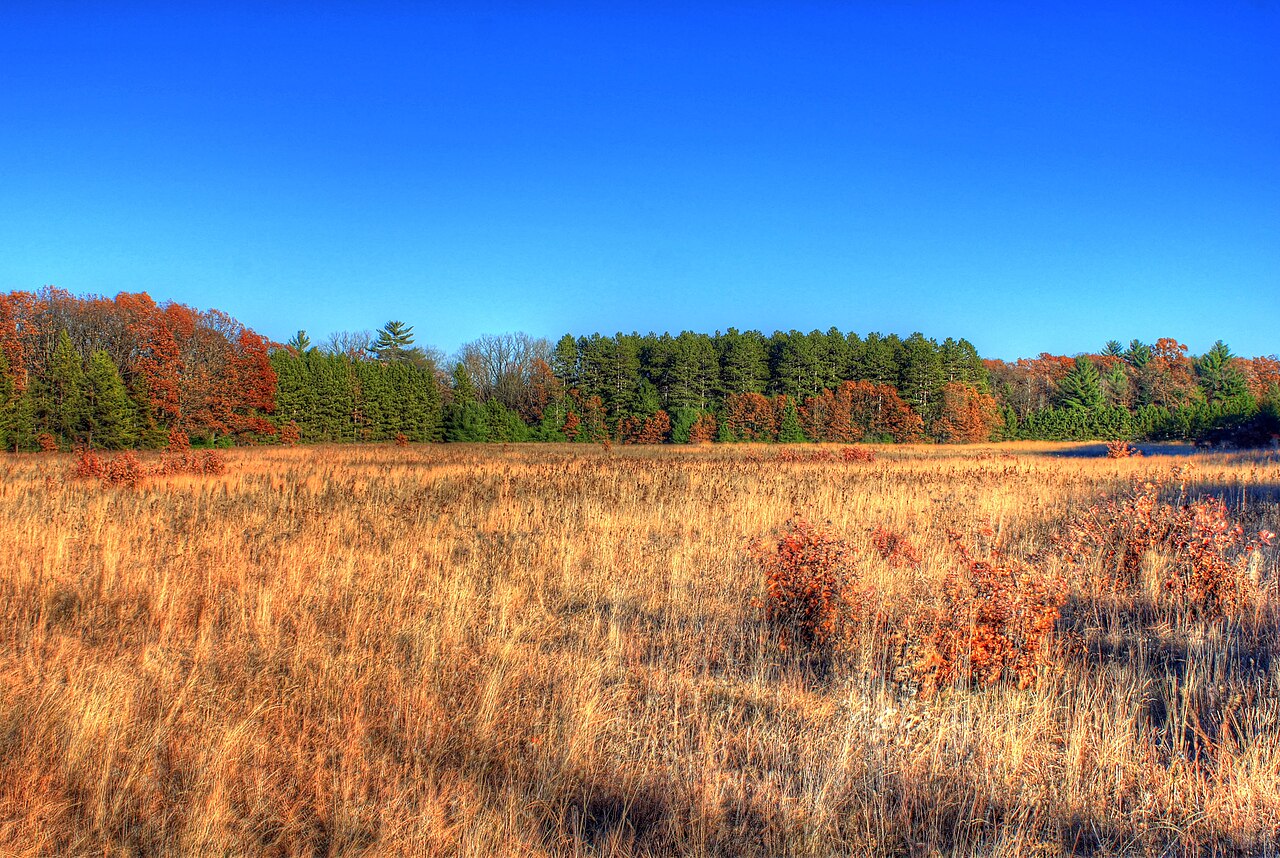 Roche-A-Cri State Park