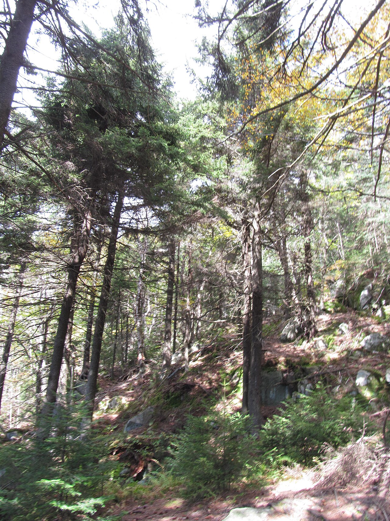 Mount Ascutney State Park