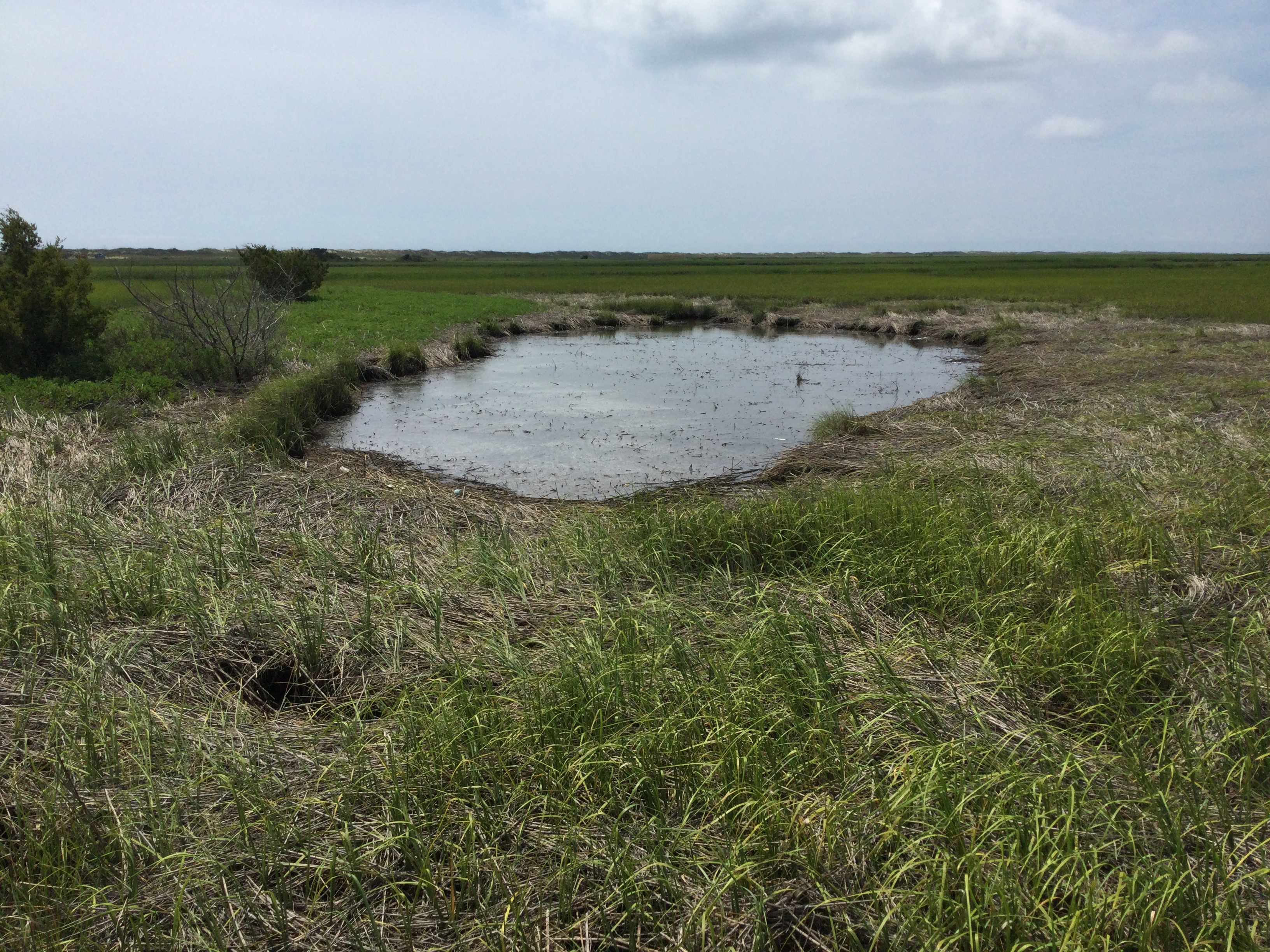 Fort Fisher State Recreation Area