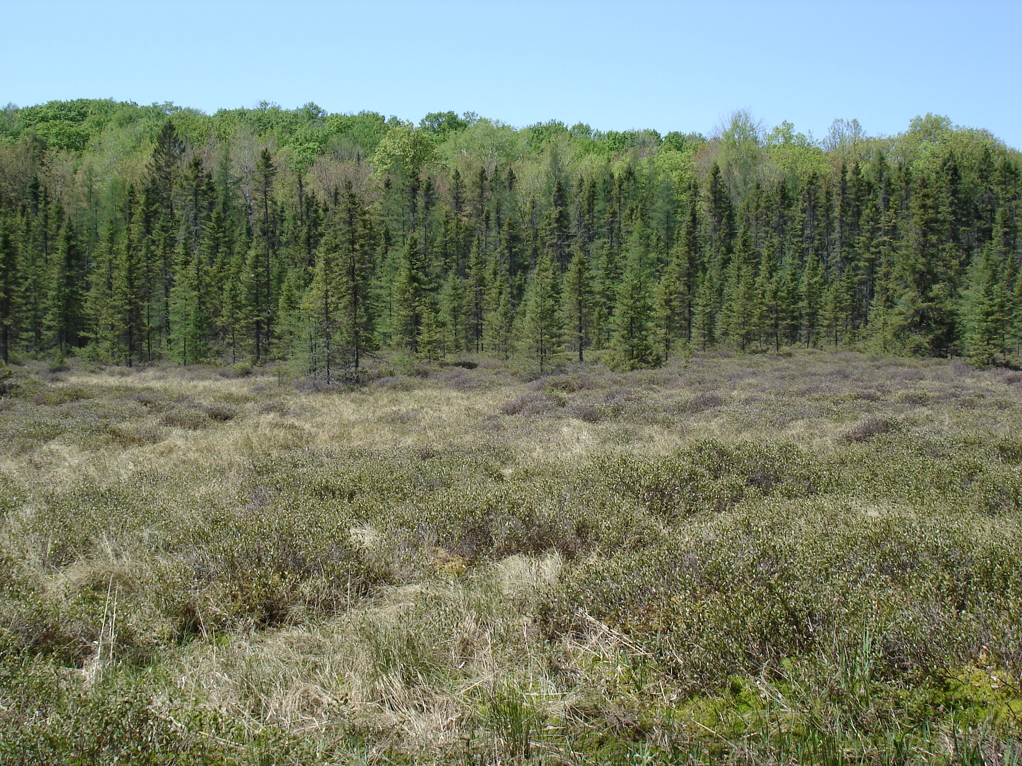 Robbins Pond Campground