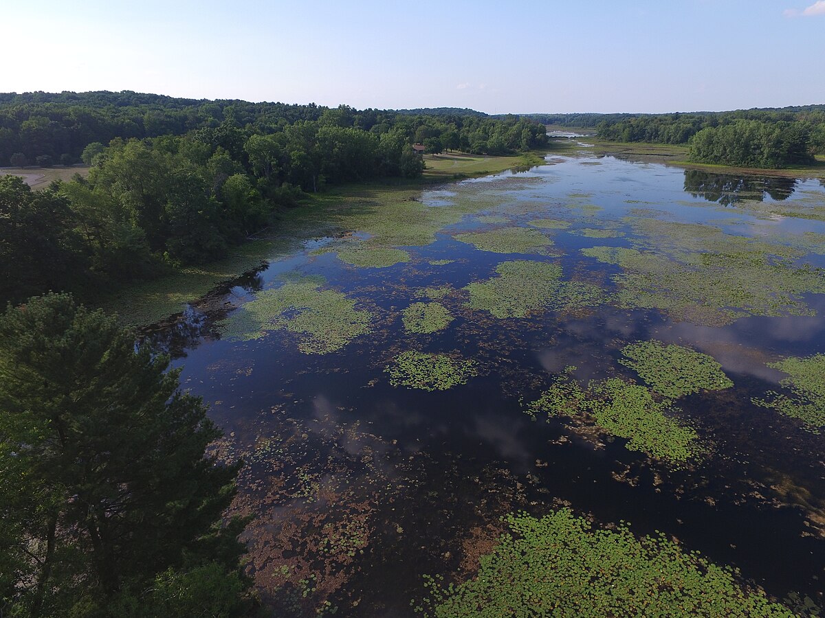 Brightonthree Fires Youth Organizational Camp